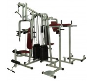 Lifeline 6 Station Home Gym - 2 Weight Lines