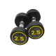 Body Maxx Rubber Coated Professional Round Dumbbells For Men And Women (2.5 KG x 2 pcs) For Home And Club Usage.