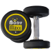 Body Maxx Rubber Coated Professional Round Dumbbells For Men And Women (5 KG x 2 pcs) For Home And Club Usage.